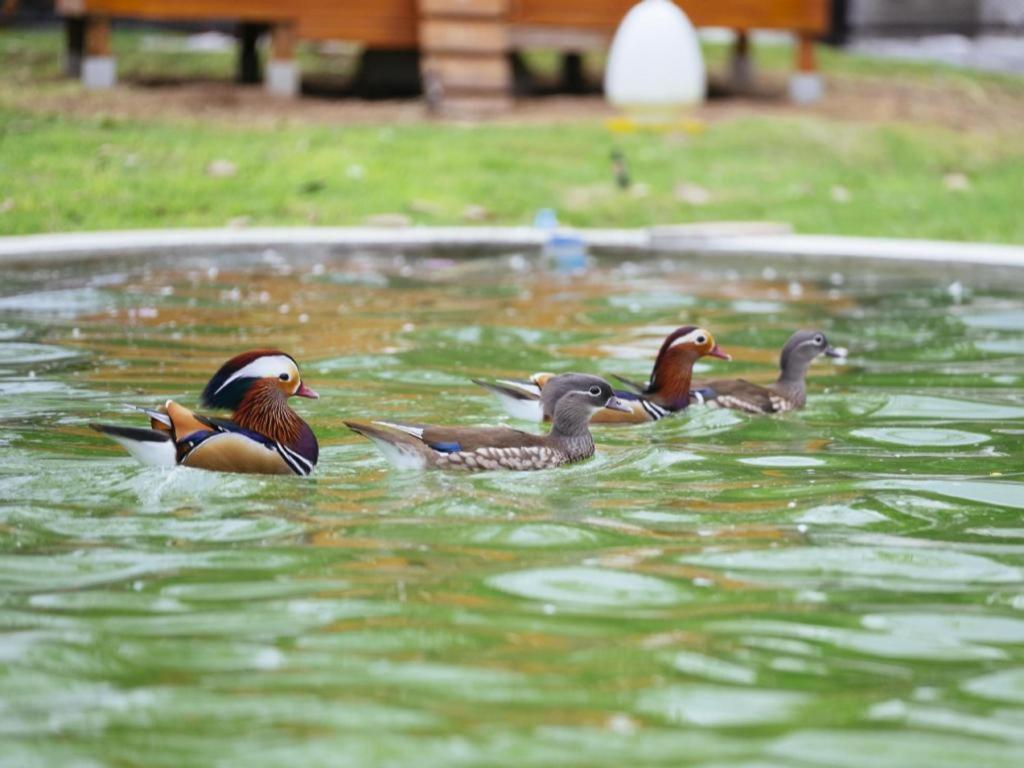 Baan Souchada Resort & Spa Sara Buri Exteriér fotografie